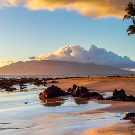 Top Tips for a Stress-Free Vacation in Maui