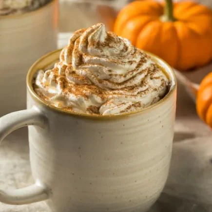 Pumpkin Spice Recipes to Warm Up your Fall