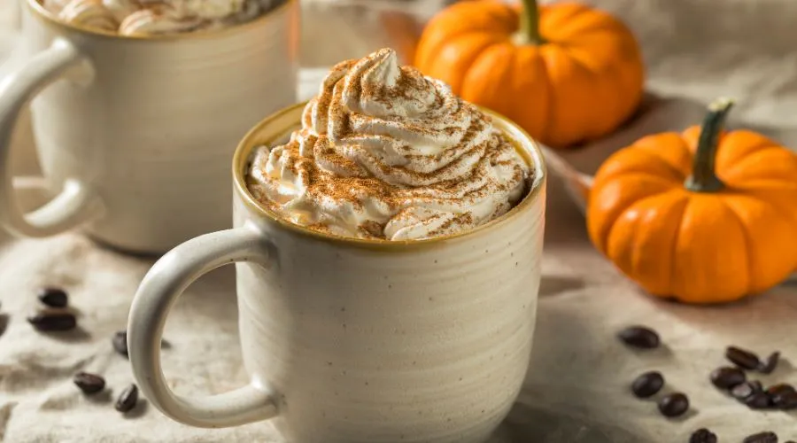 Pumpkin Spice Recipes to Warm Up your Fall