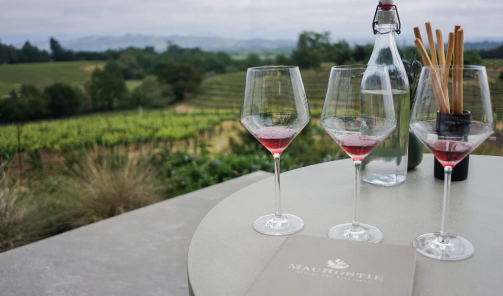 Wine Tourism Routes 2026 Guide Your Ultimate Gastronomic Journey Wine Tourism Routes 2026 Guide Your Ultimate Gastronomic Journey