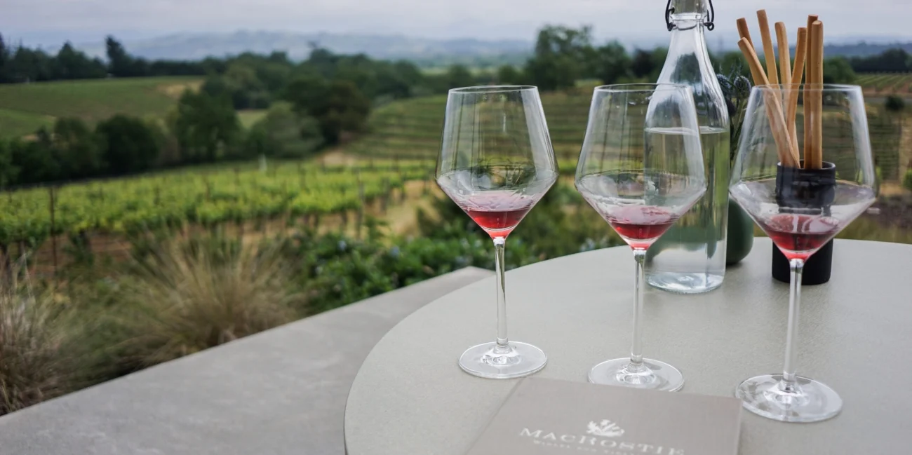 Wine Tourism Routes 2026 Guide Your Ultimate Gastronomic Journey