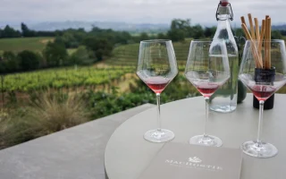 Wine Tourism Routes 2026 Guide Your Ultimate Gastronomic Journey