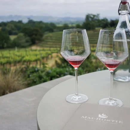 Wine Tourism Routes 2026 Guide Your Ultimate Gastronomic Journey