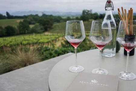 Wine Tourism Routes 2026 Guide Your Ultimate Gastronomic Journey