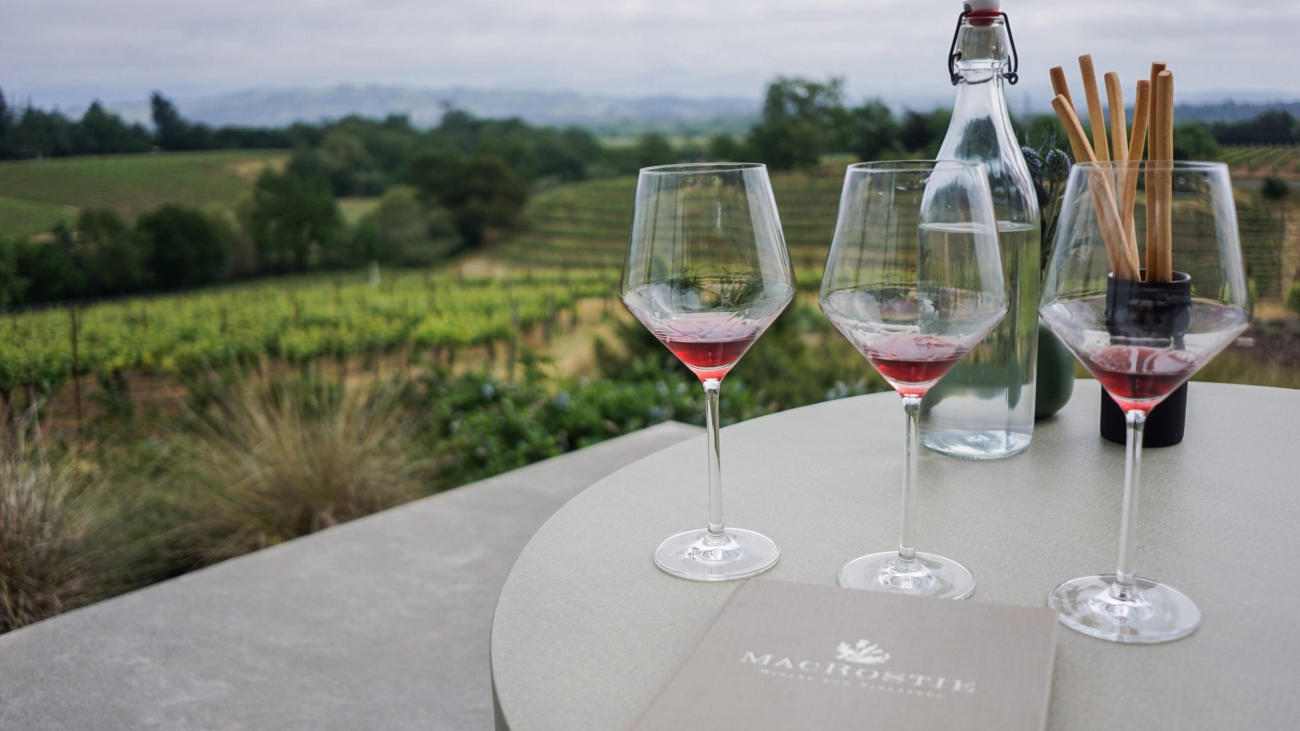 Wine Tourism Routes 2026 Guide Your Ultimate Gastronomic Journey