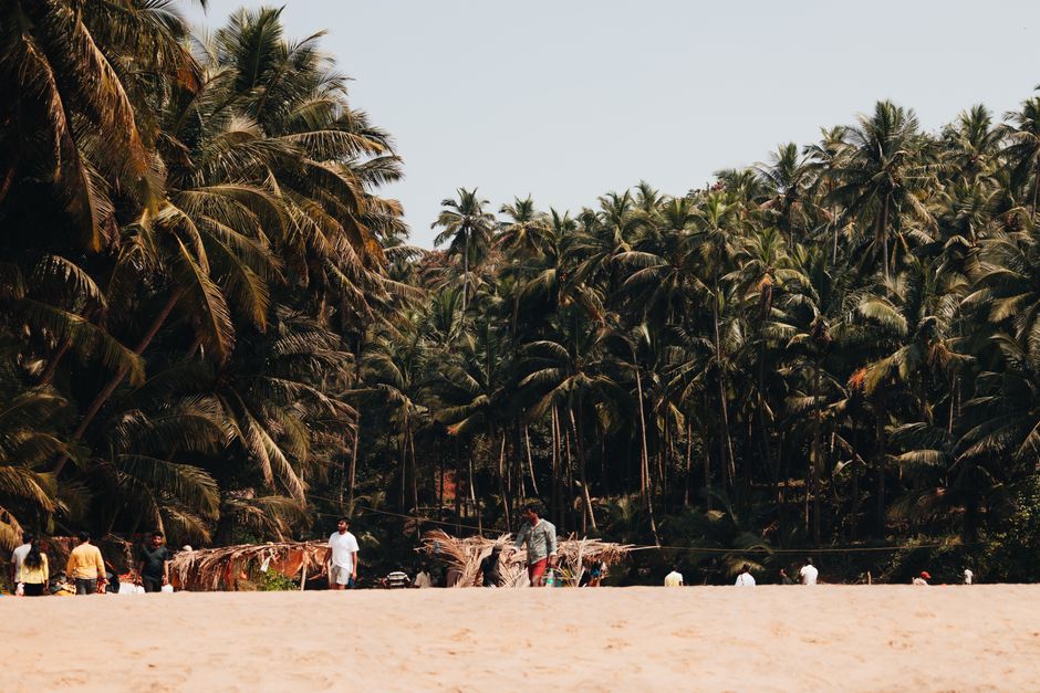 Scenic view of a tropical beach with lush palm trees and people enjoying a sunny day.