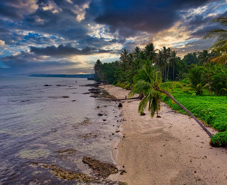 Tranquil beach scene with palm trees and dramatic clouds in Banten, Indonesia at sunset.