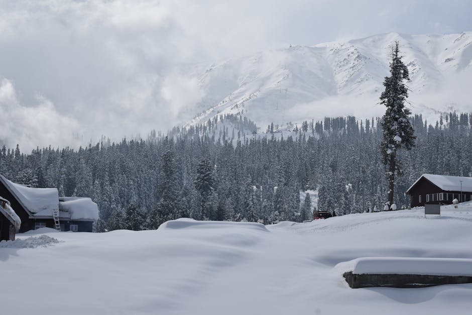 Snow-covered cabins amidst a serene forest landscape with snowy mountains in the background.
