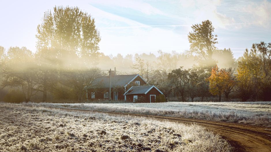 A serene frosty morning landscape featuring a rustic cottage under soft sunlight and mist.