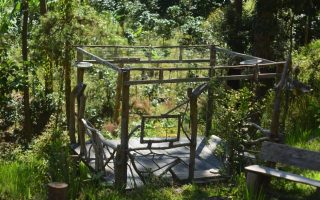 Eco-Friendly Hostels Medellín Solo Travelers: Solo in Medellín: Eco-Hostels With Real Social Pull