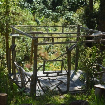 Eco-Friendly Hostels Medellín Solo Travelers: Solo in Medellín: Eco-Hostels With Real Social Pull Eco-Friendly Hostels Medellín Solo Travelers: Solo in Medellín: Eco-Hostels With Real Social Pull