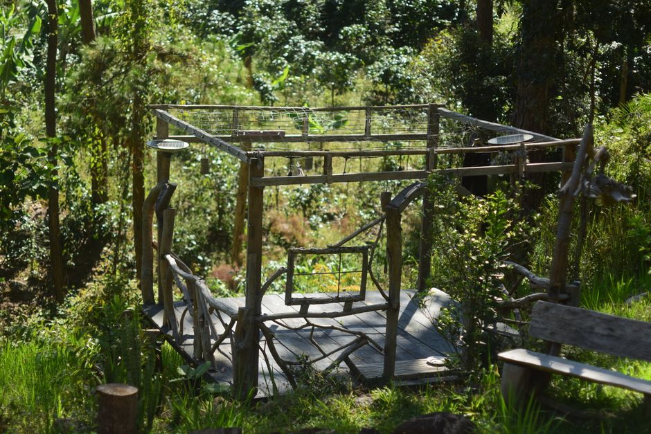 Eco-Friendly Hostels Medellín Solo Travelers: Solo in Medellín: Eco-Hostels With Real Social Pull