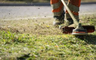 SENIX High Wheel Gas Brush Cutter Review: 22-Inch Walk Behind Trimmer with 160cc Engine