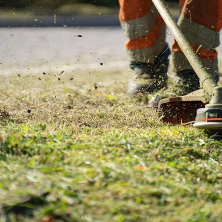 SENIX High Wheel Gas Brush Cutter Review: 22-Inch Walk Behind Trimmer with 160cc Engine