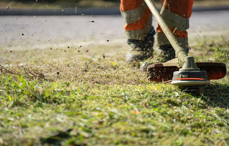 SENIX High Wheel Gas Brush Cutter Review: 22-Inch Walk Behind Trimmer with 160cc Engine SENIX High Wheel Gas Brush Cutter Review: 22-Inch Walk Behind Trimmer with 160cc Engine