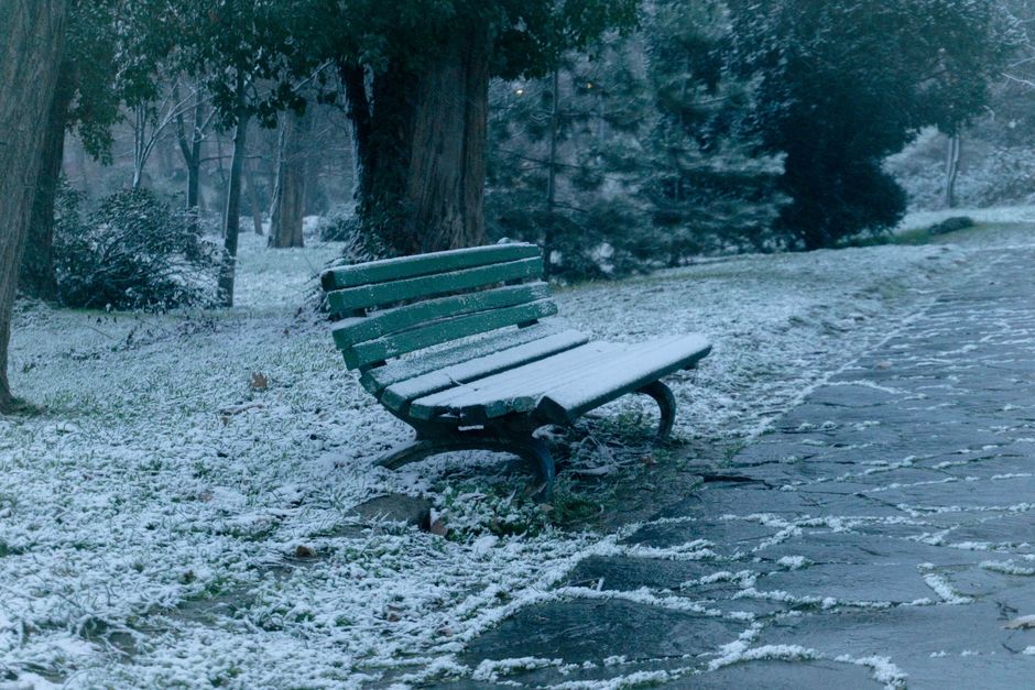 A green bench covered in snow in a serene Plovdiv park during winter's day.
