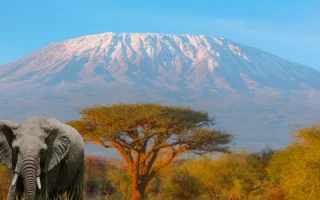 A Safari Journey Through Tanzania’s Unmatched Beauty