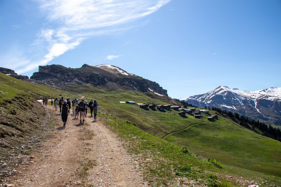 Group hiking in Artvin mountains with stunning views and lush greenery under a clear blue sky.