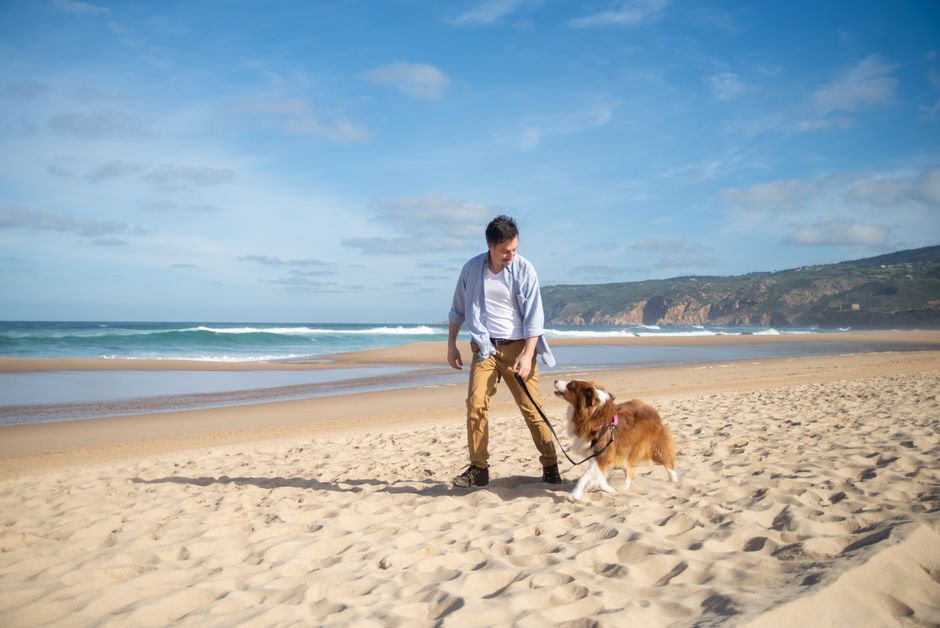 Man enjoying a sunny walk with his dog on a picturesque beach in Portugal.
