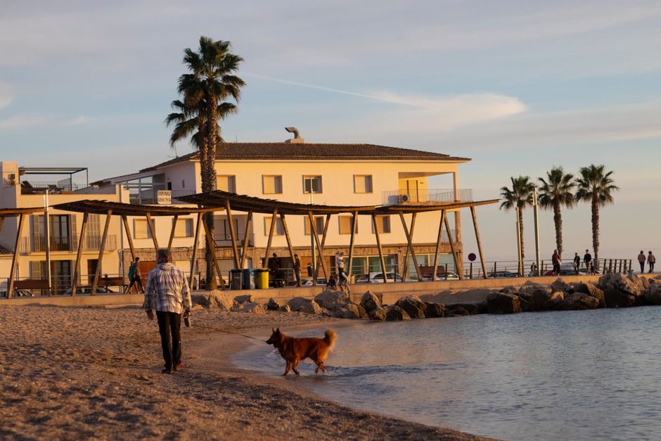 A man walks his dog along Palma Beach at sunset, beside palm trees and a building.