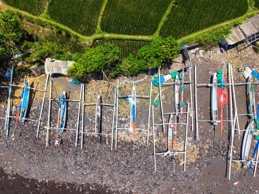 Aerial shot of traditional fishing boats on a rocky Bali shore beside lush rice paddies.