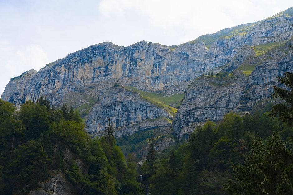 Breathtaking view of the Swiss Alps with lush green forests and dramatic rocky cliffs.