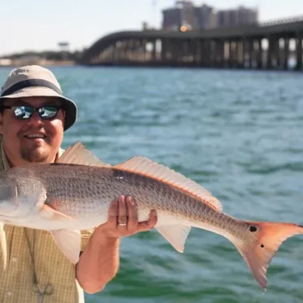 Why Florida Fishing is Unmatched: Top Reasons to Cast a Line
