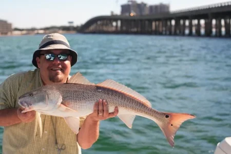 Why Florida Fishing is Unmatched: Top Reasons to Cast a Line Why Florida Fishing is Unmatched: Top Reasons to Cast a Line