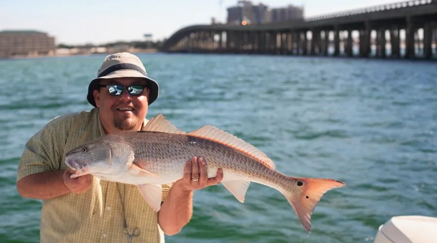 Why Florida Fishing is Unmatched: Top Reasons to Cast a Line