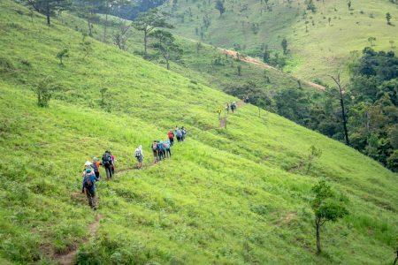 Walking Holidays for Beginners: Build Fitness for Spring Walking Holidays for Beginners: Build Fitness for Spring